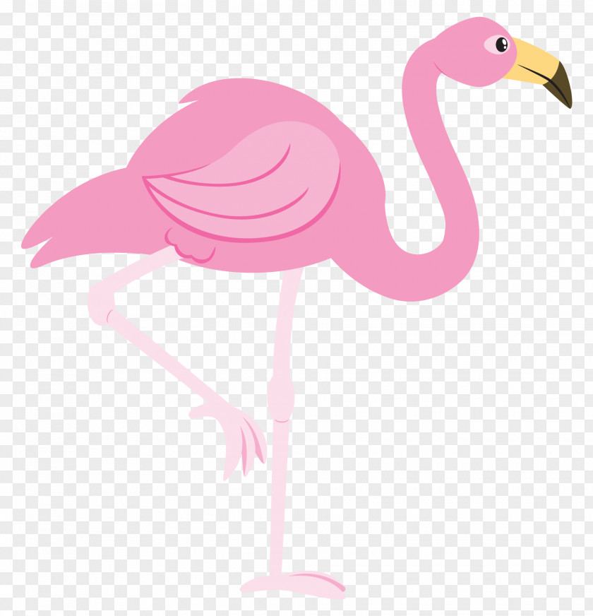Flamingo Cartoon Images Clip Art PNG