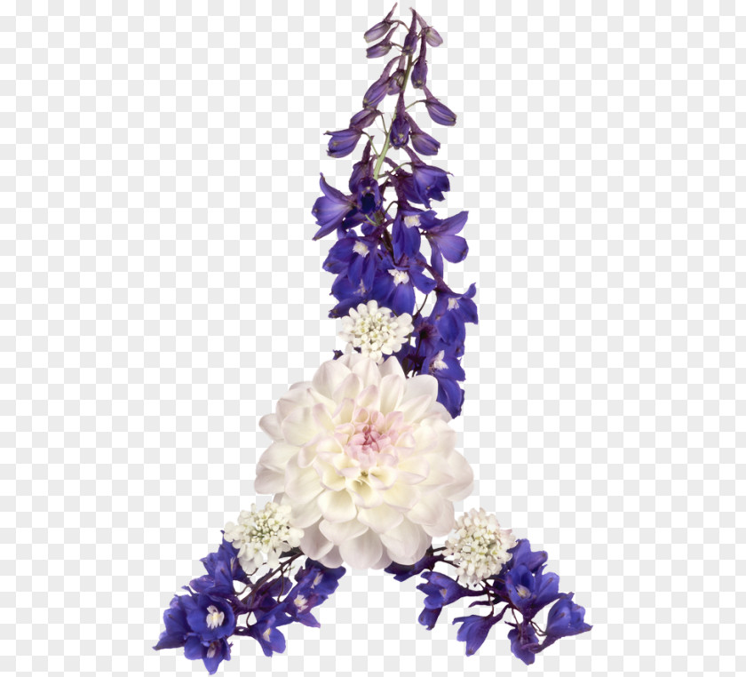 Flower Floral Design Color Cut Flowers Bouquet PNG