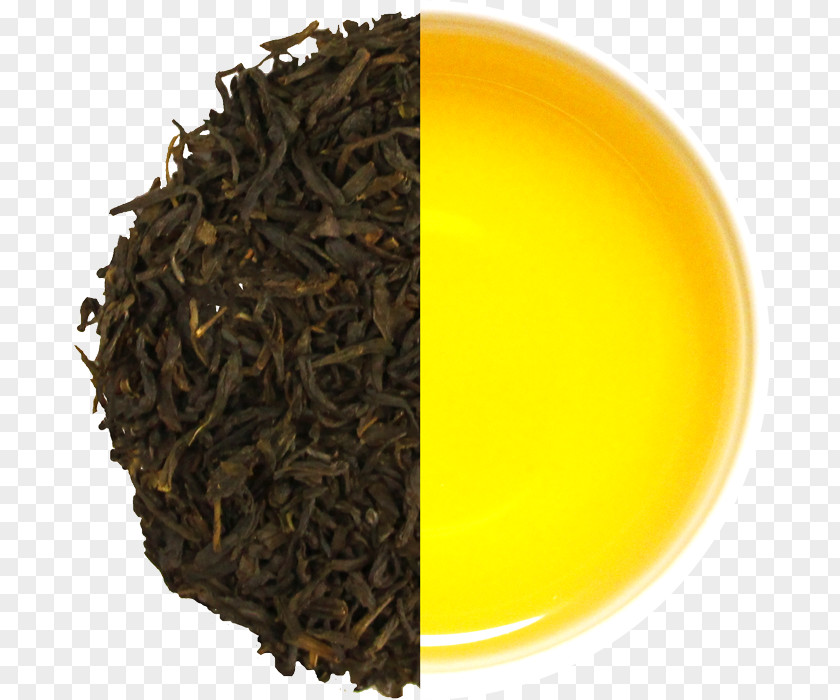 Fresh Jasmine Tea Dianhong Nilgiri Oolong Darjeeling PNG