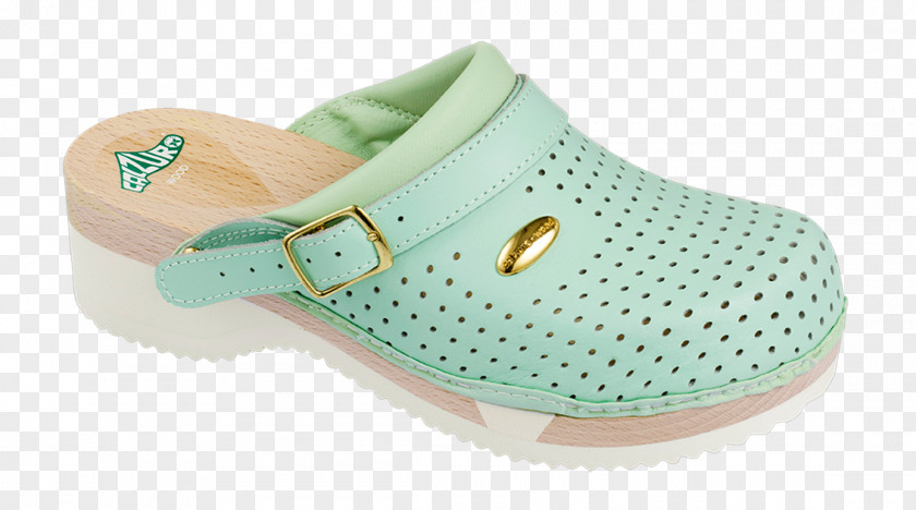 Green Woods Clog Shoe Sneakers Footwear Adidas PNG