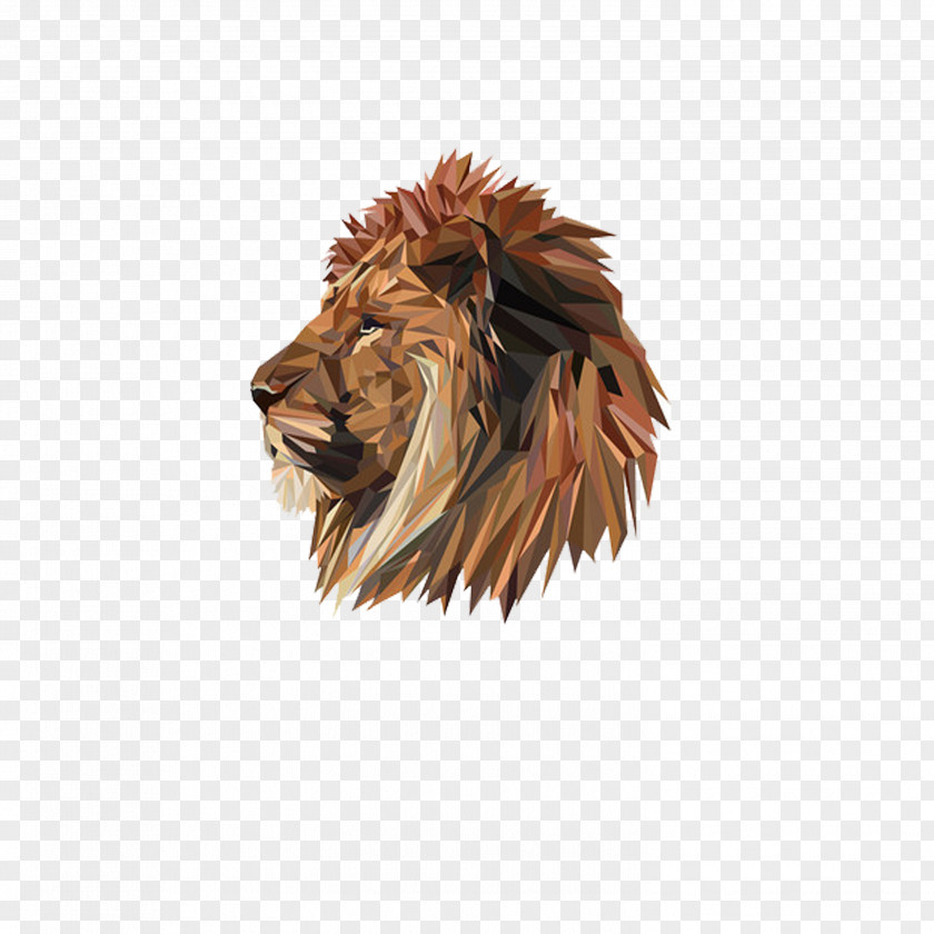 Lionhead Art Drawing Illustration PNG