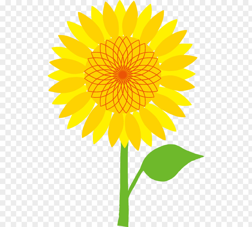 Sunflower Art Deco Pattern Common Clip PNG