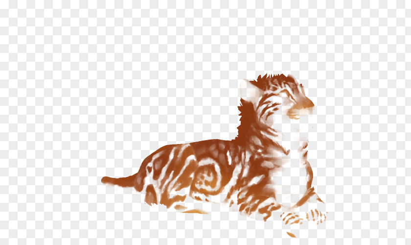 Sunset Lion Felidae Cat Tiger Cheetah PNG