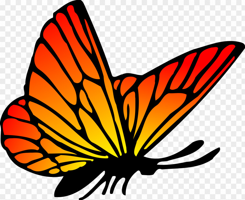 Colour Butterfly Drawing Clip Art PNG