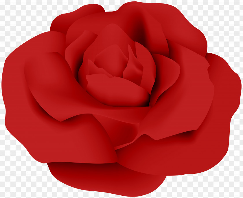 Red Rose Transparent Clip Art Garden Roses Petal PNG