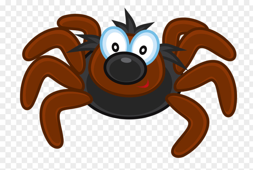 Spider Photography Clip Art PNG