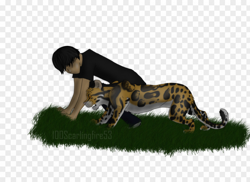 Tiger Lion Cheetah Wildlife PNG