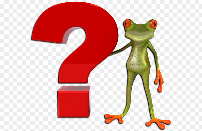 Ask Question Tree Frog Clip Art PNG