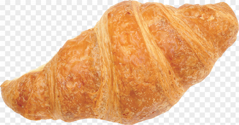 Bun Bakery Croissant Pastry Bread PNG