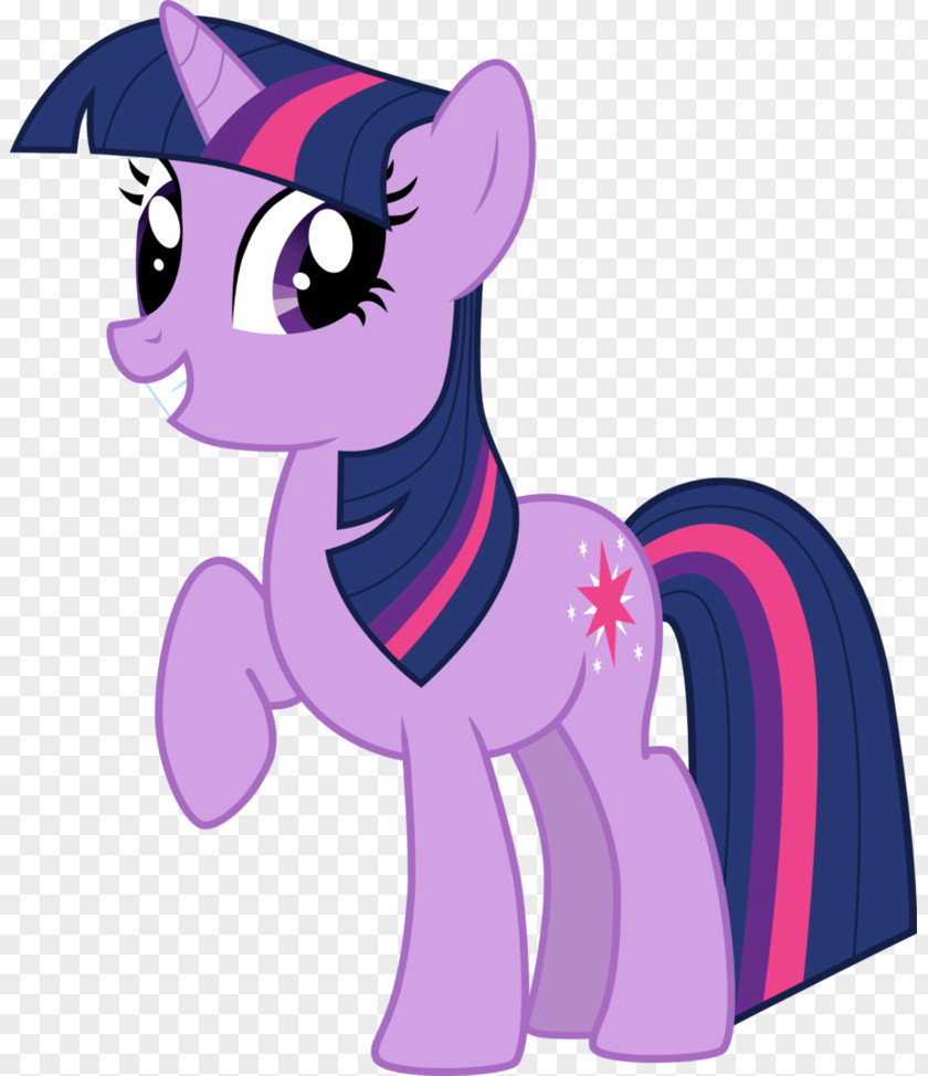 Cheerful Pony Twilight Sparkle Derpy Hooves Image Pinkie Pie PNG