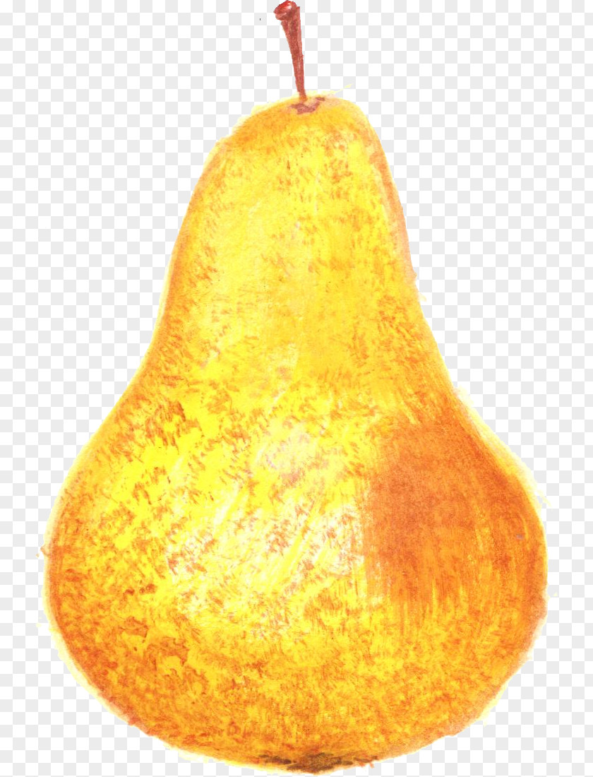 Cherry Calabaza Cucurbita Winter Squash Pear PNG