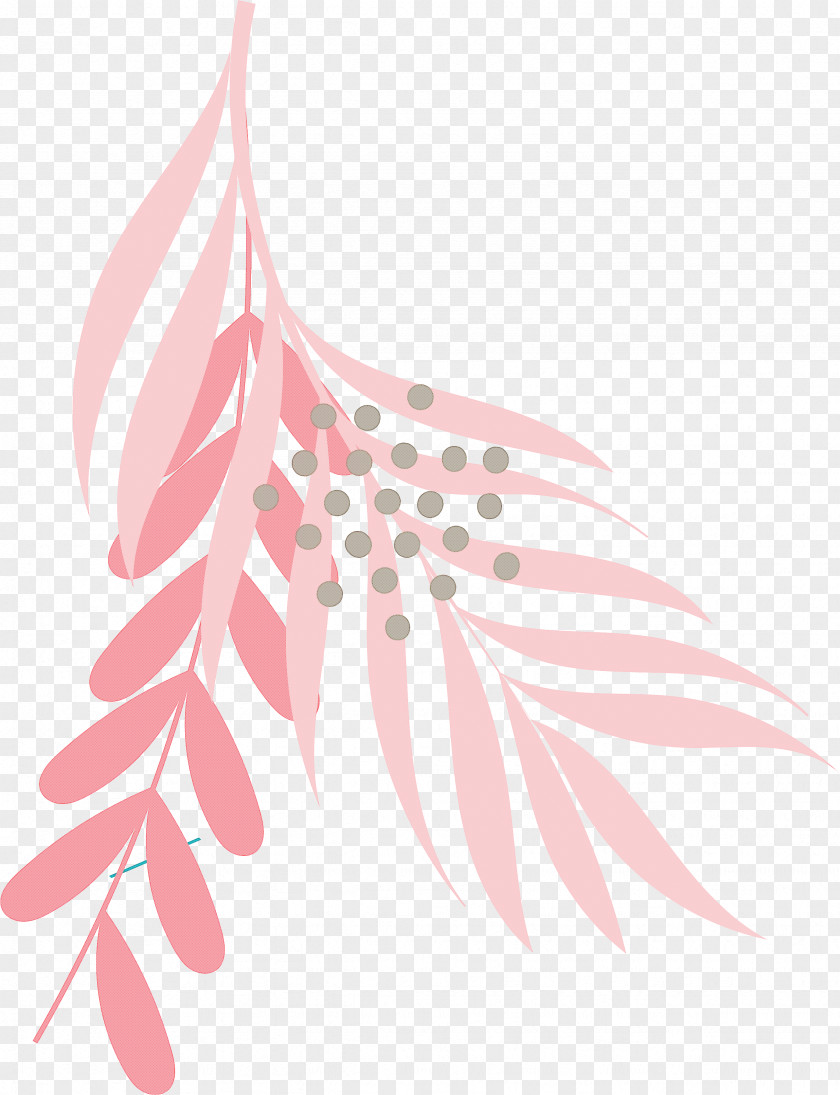 Feather PNG