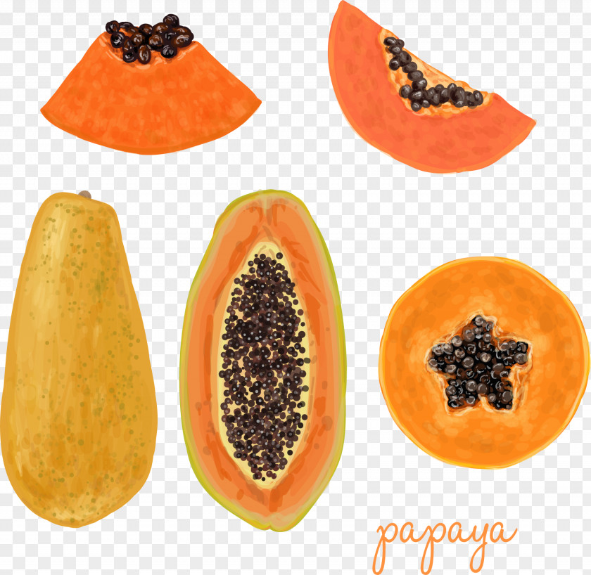 Fresh Papaya Juice Fruit Food PNG