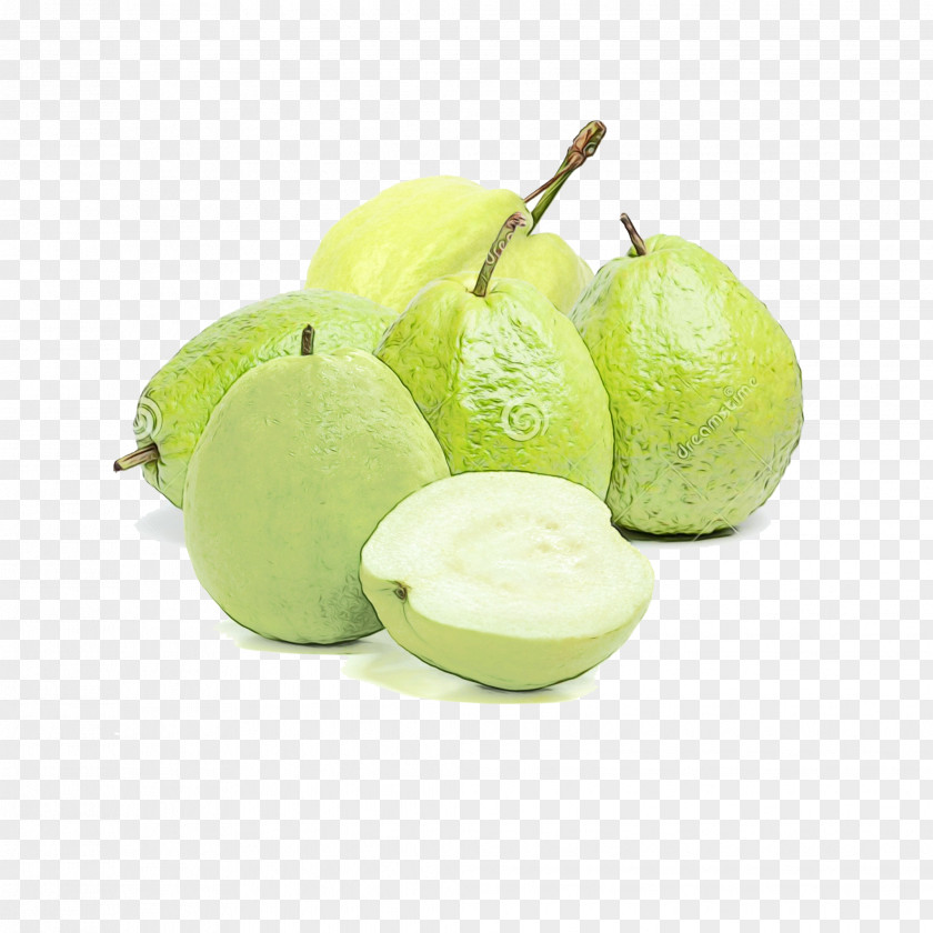 Tree Plant Fruit PNG