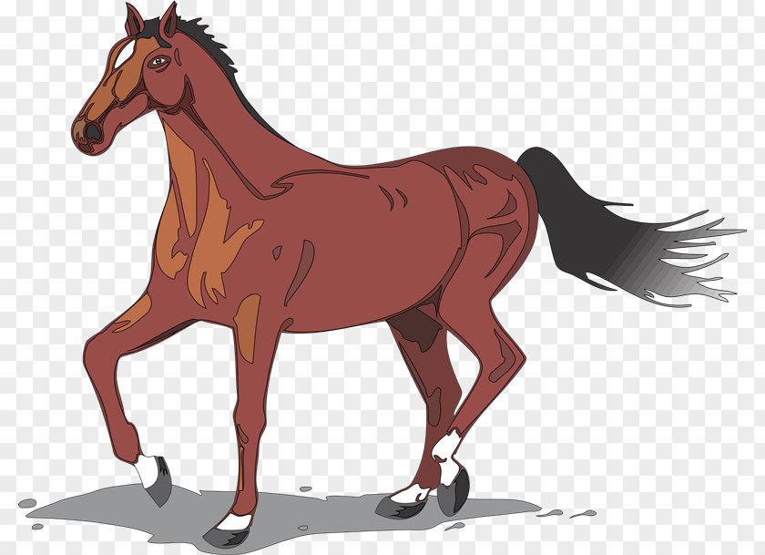 Cabal Running Horse Clip Art Donkey Desktop Wallpaper PNG