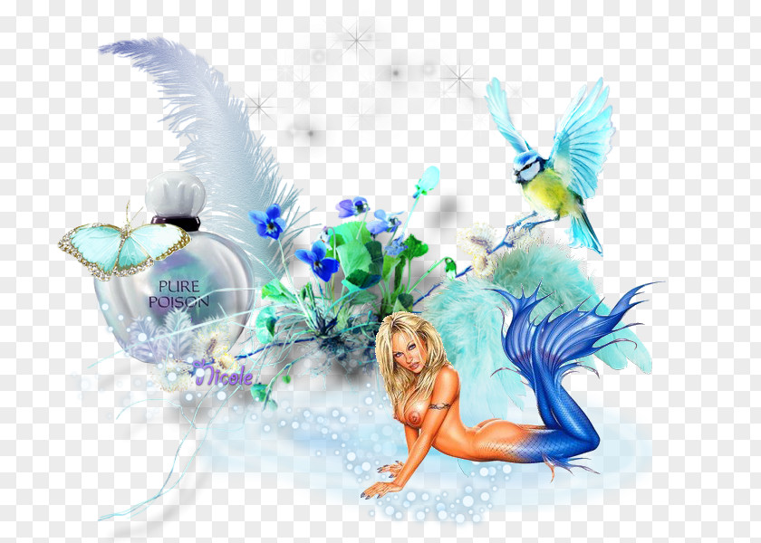 Fairy Desktop Wallpaper Organism PNG