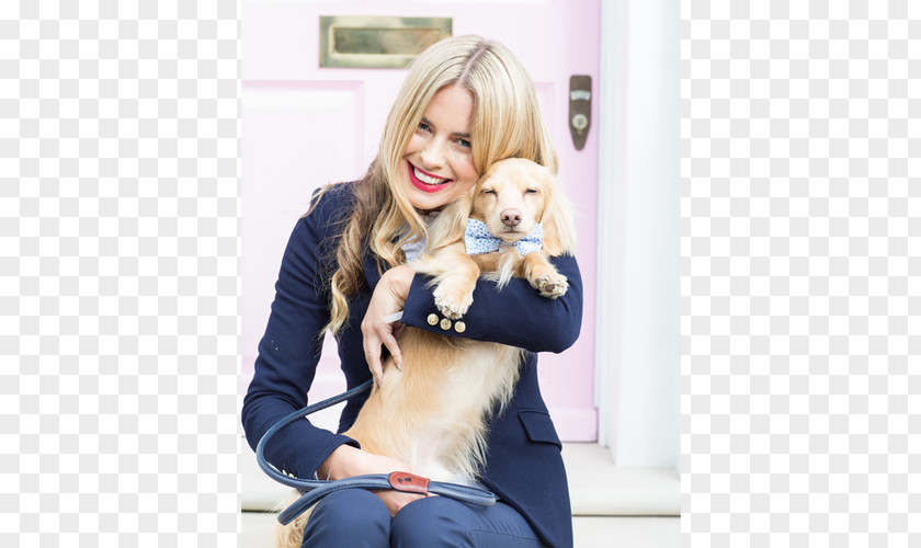 Dog Wearing Tie Blond Fur PNG