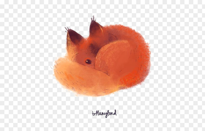 Fox Red Cat Drawing PNG