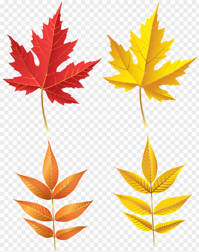 Autumn Leaves Set Clip Art Image File Formats Lossless Compression PNG