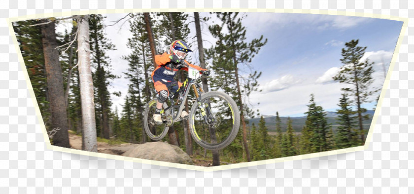 Bicycle Mountain Bike Freeride Hybrid BMX PNG