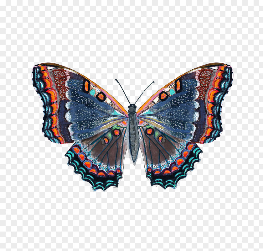 Colorful Butterfly Clips Monarch Illustration PNG