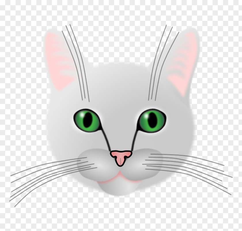 Different Pupil Whiskers Domestic Short-haired Cat Clip Art PNG