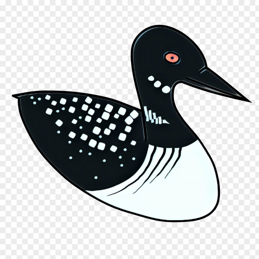 Goose Oystercatcher Duck Cartoon PNG