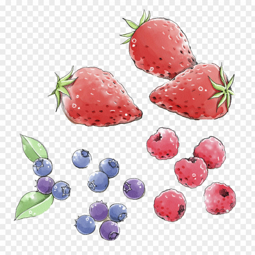 Hand Painted Strawberry Blueberries Blueberry Aedmaasikas PNG