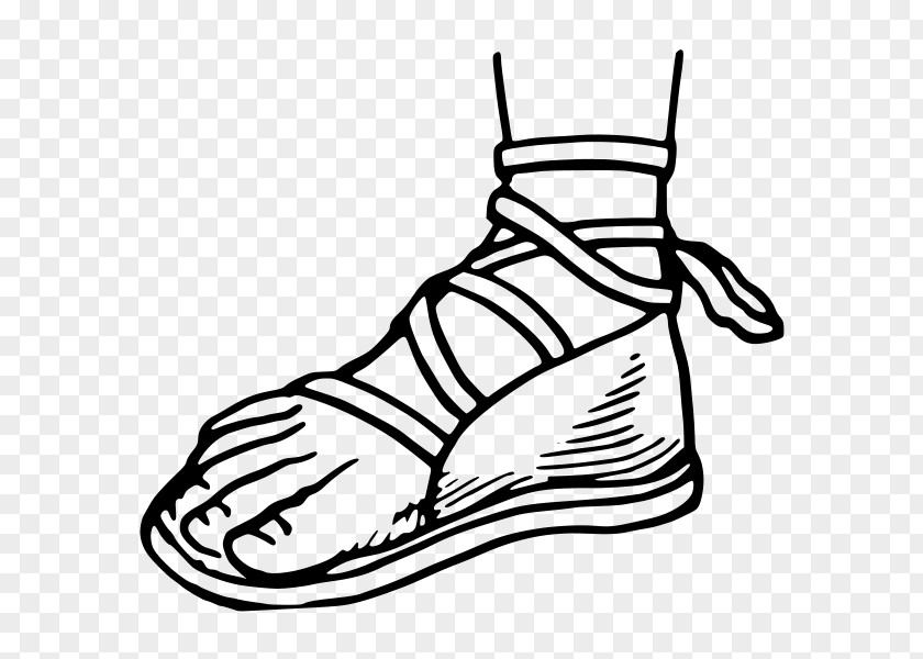 Kaki Dan Kolam Renang Sandal Flip-flops Vector Graphics Shoe Clip Art PNG