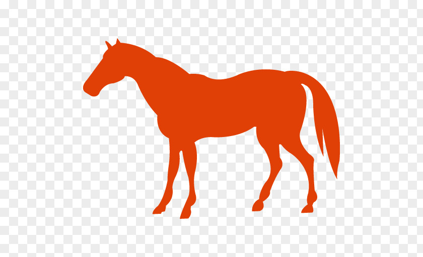 Mustang Arabian Horse American Quarter Paint Pony PNG