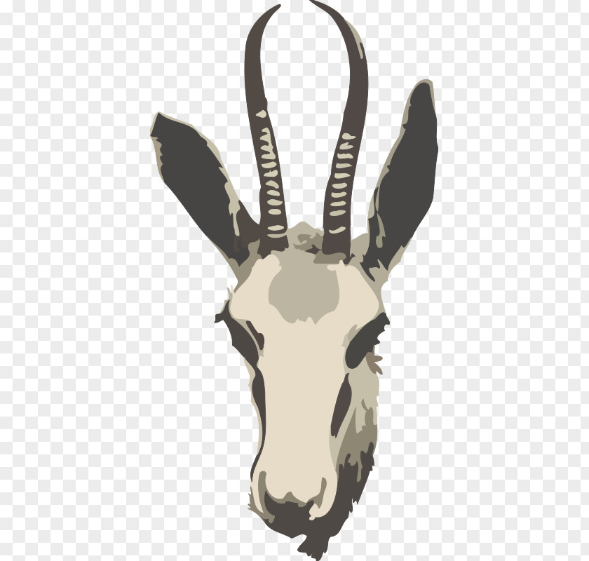 Springbok Cliparts Gazelle Impala Antelope Clip Art PNG