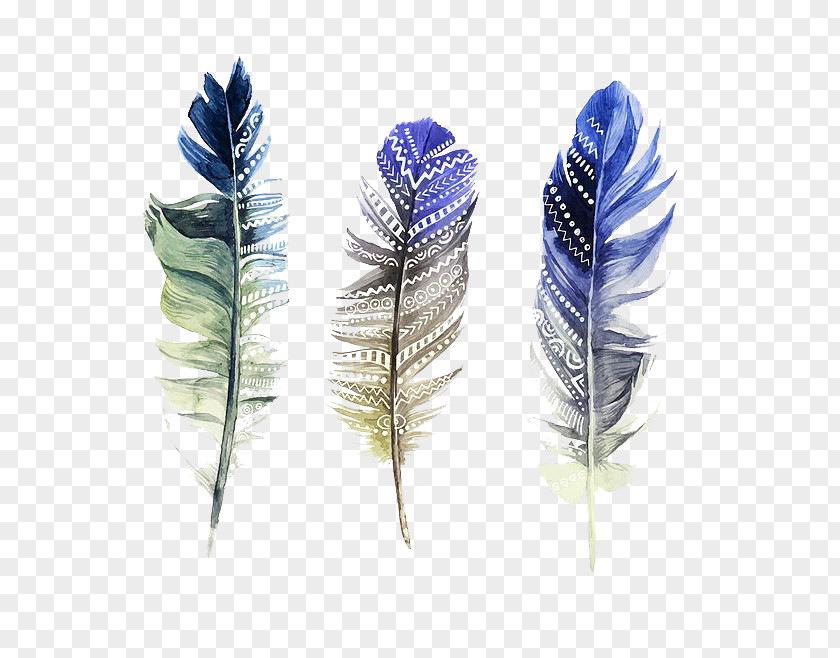 Watercolor Feather Painting Illustration PNG