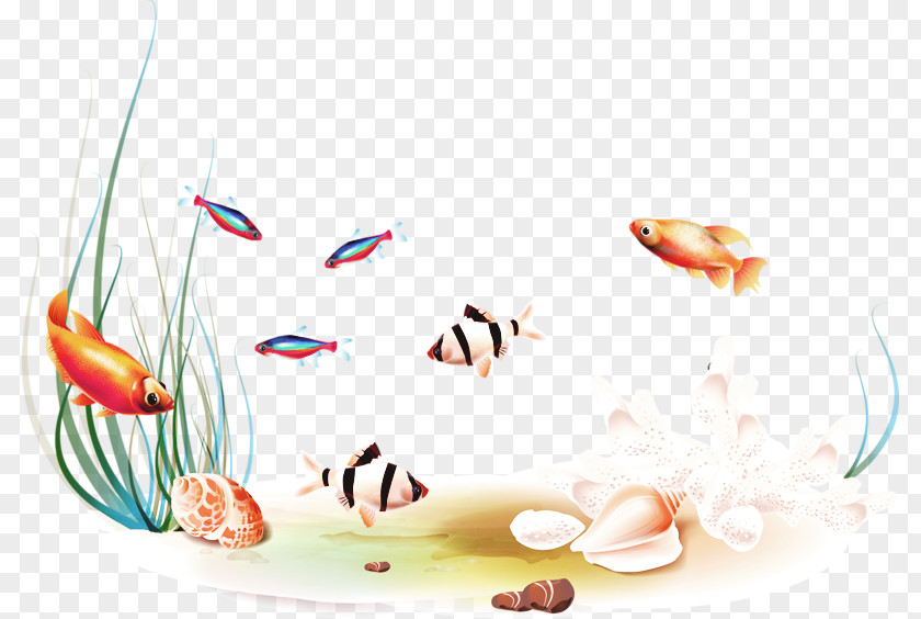 A Group Of Fish Swimming Clip Art PNG