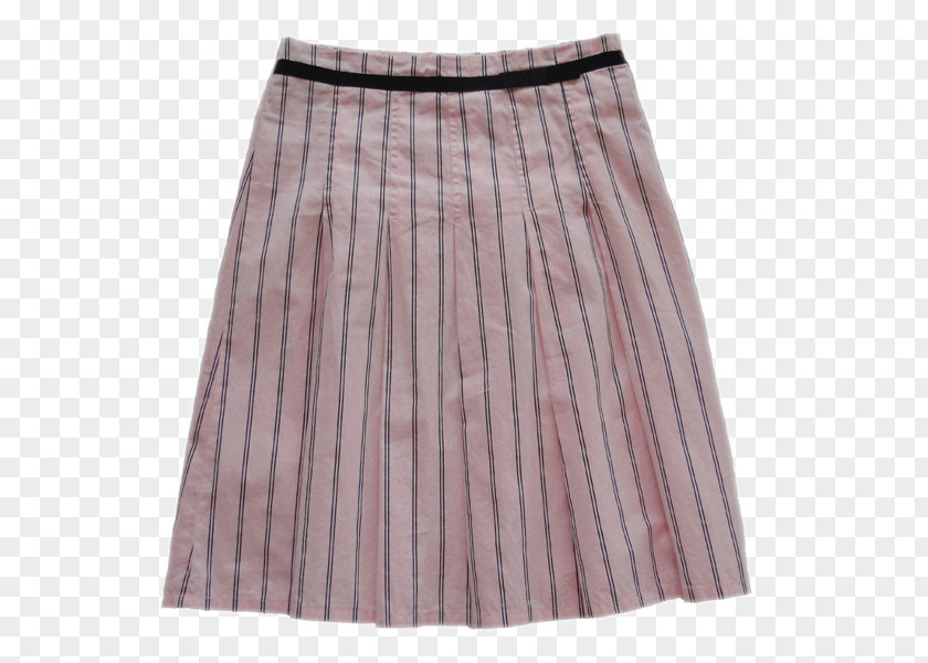 And Pleated Skirt Dress PNG