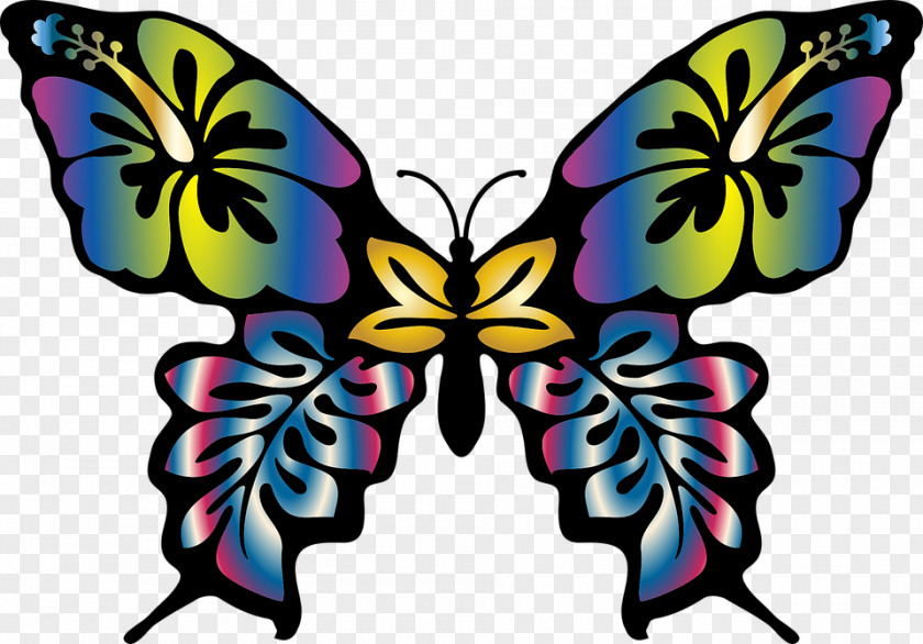 Gradient Butterfly Color Clip Art PNG