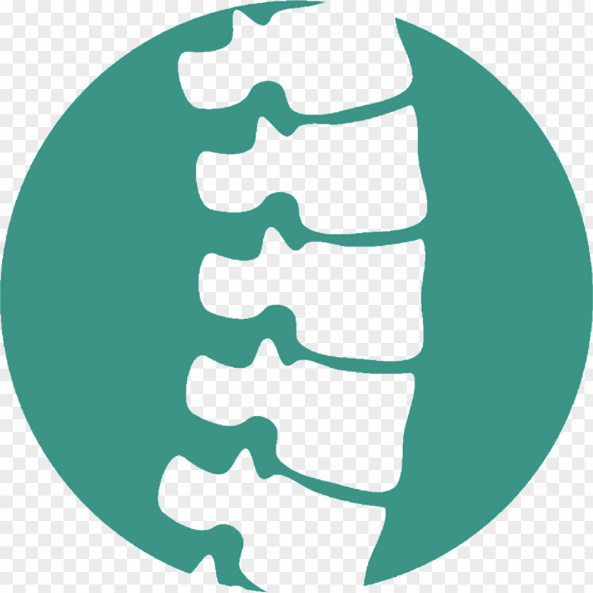 Health Back Pain Chiropractic Vertebral Column Chiropractor Human Factors And Ergonomics PNG