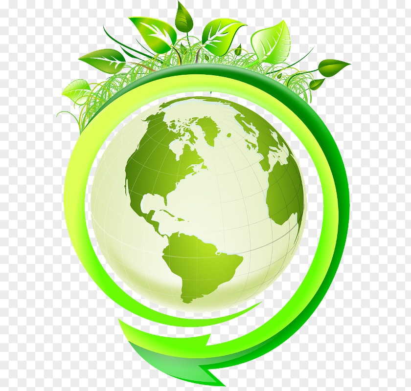 Natural Environment Ecology Clip Art PNG