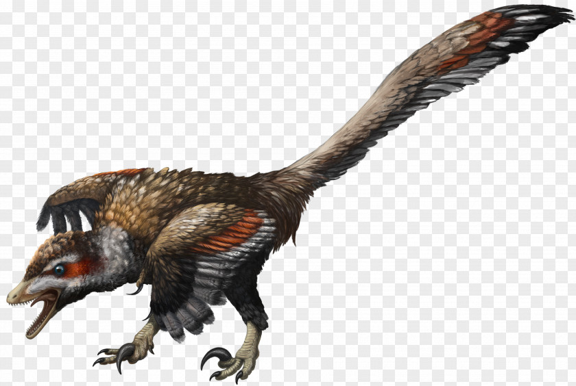 Raptor Velociraptor Flaming Cliffs Protoceratops Oviraptor Dinosaur PNG