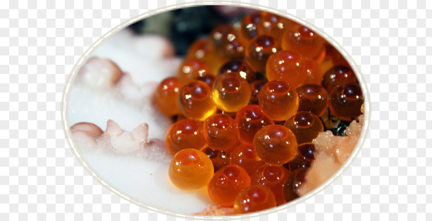 Red Caviar Recipe PNG