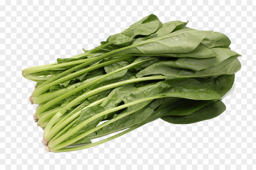 Vegitable Spinach Vegetable Food Chinese Cabbage Cucumber PNG