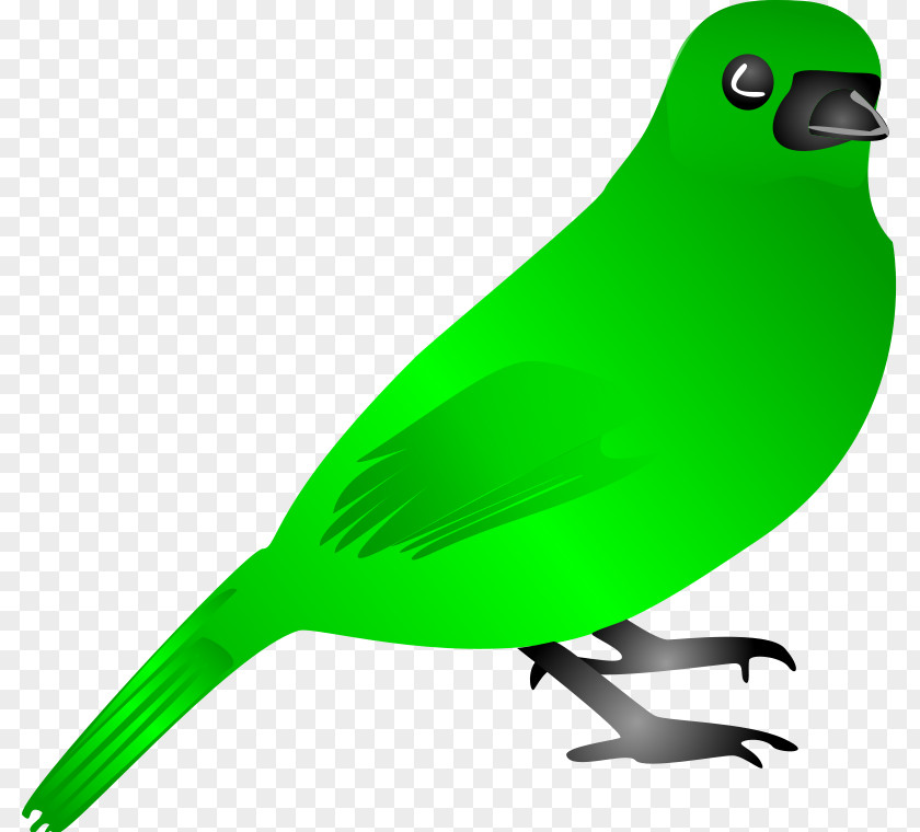 Chickadee Clipart Bird Flight Green Clip Art PNG