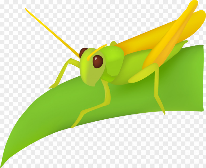 Decorative Cartoon Grasshopper Leaf PNG