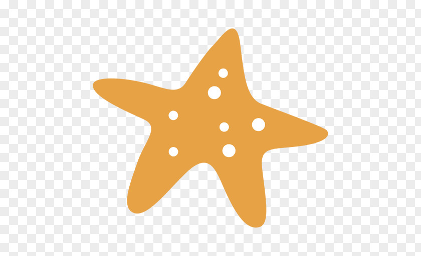 Sea Star Starfish Drawing Animation PNG