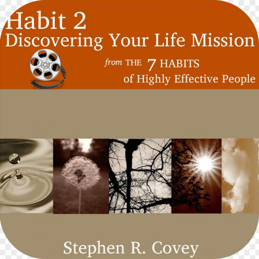 The 7 Habits Of Highly Effective People 8th Habit Principle-centered Leadership How To Develop Your Personal Mission Statement PNG