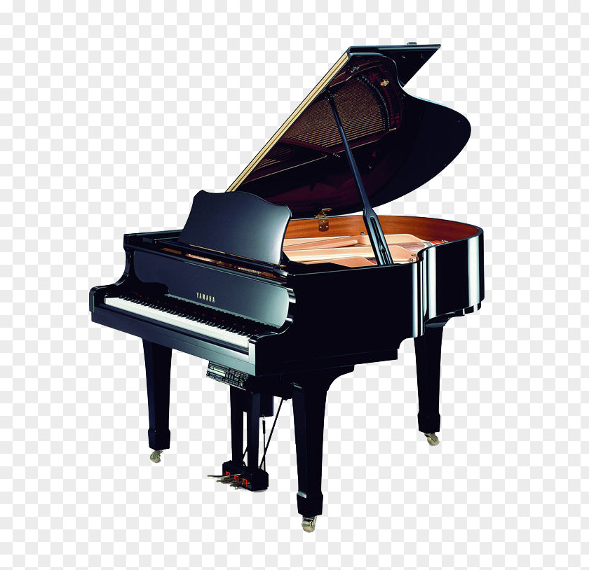 Acoustic Performance Yamaha Corporation Grand Piano Disklavier Guitar PNG