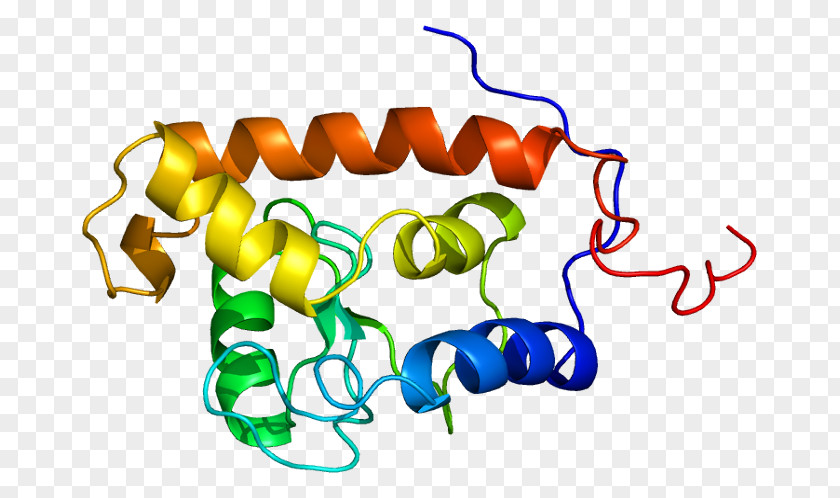 ARFGAP3 Protein GTPase Gene ADP Ribosylation Factor PNG