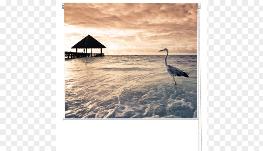 Beach Sunset Stock Photography Room PNG