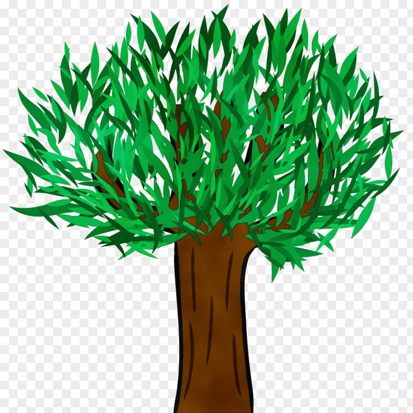 Flowerpot Flower Leaf Video Plants Tree Library PNG