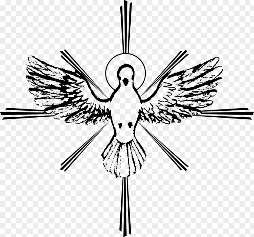 Holy Ghost Spirit In Christianity Drawing Doves As Symbols PNG