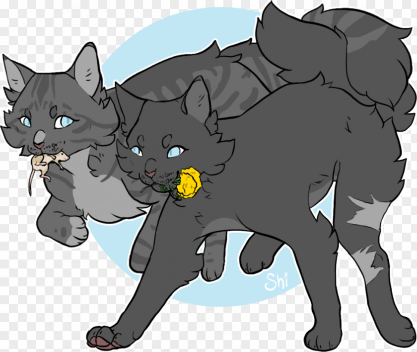 Kitten Black Cat Whiskers Dog PNG